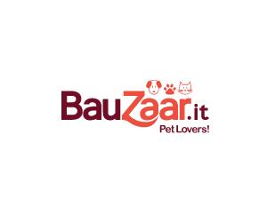 Codici Sconto codice-promozionale-bauzaar